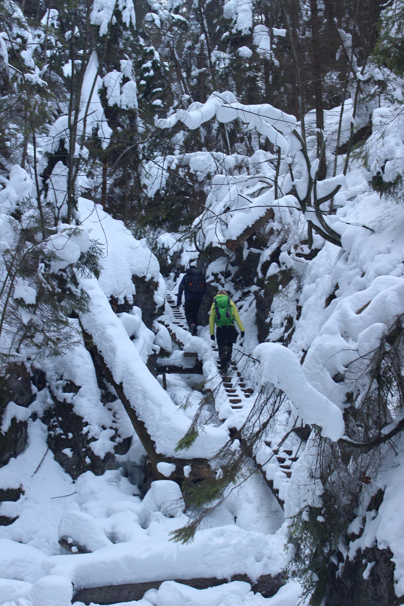 Suchá Belá gorge, winter hiking trip, Košice region, Slovakia – 21