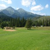Belianske Tatry, Tatra mountains, Slovakia