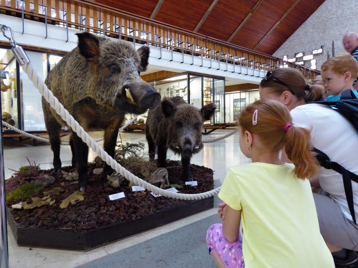 Tatra National Park Museum in Tatranská Lomnica, High tatras, Slovakia
