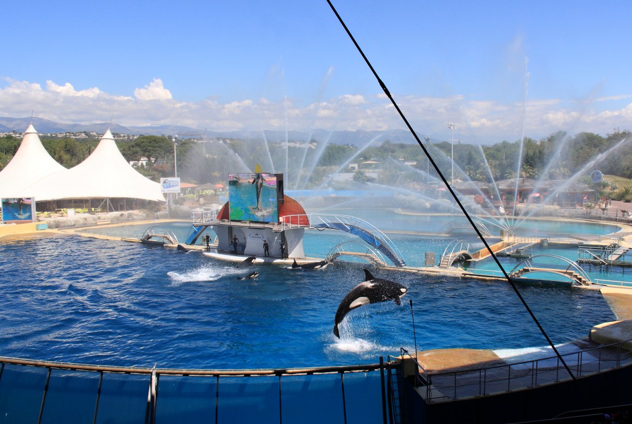 Marineland of Antibes, Cities in France