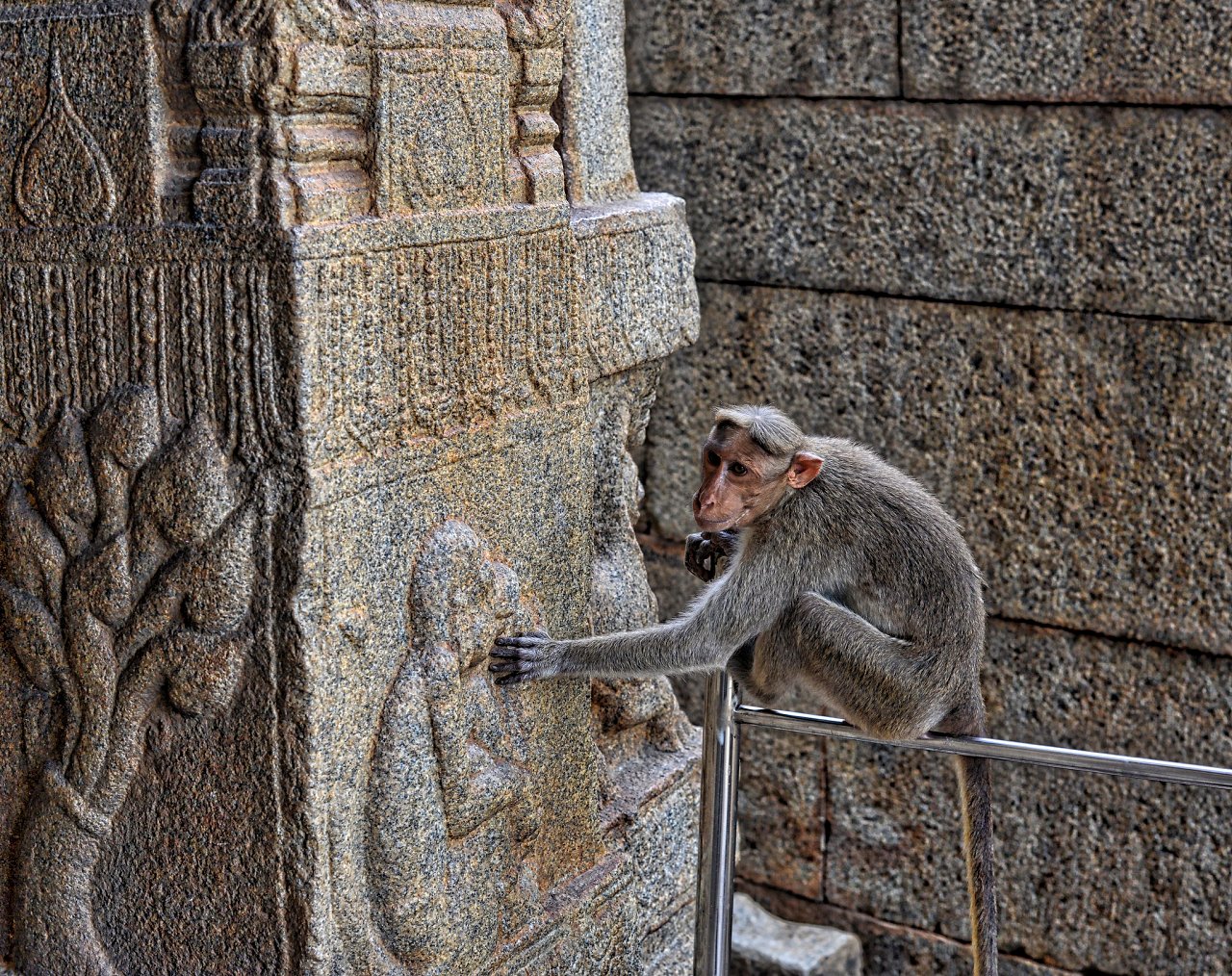 Monkey Temples, Thailand