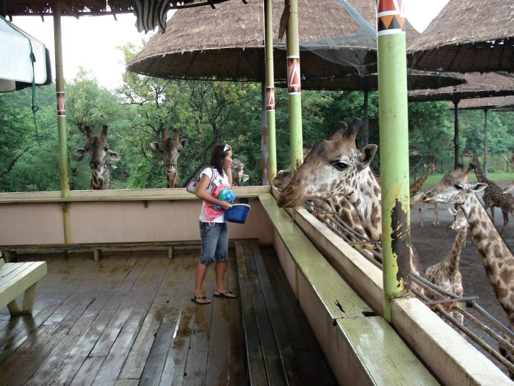 Safari World, Bangkok, Places to Visit in Thailand