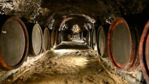 Tokaj Macik WInery, Tokaj Wine Region, Slovakia