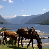 Altay, Lake Ozero, Best places to visit in Russia
