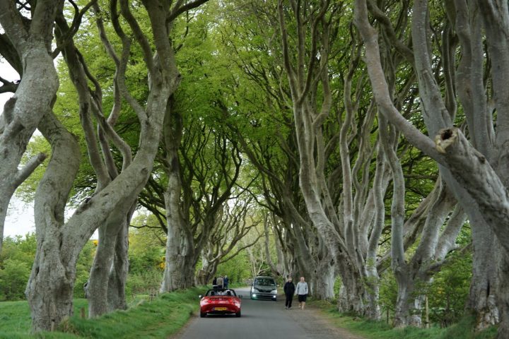 Dark Hedges, Best places to visit in the UK