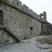Ross Castle 4, Ireland