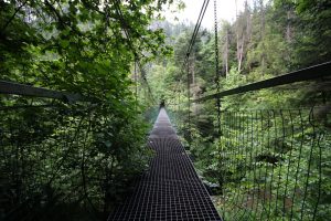 Prielom Hornádu canyon, Slovak Paradise National Park, Slovakia