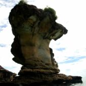 Bako National Park 3, Best Places to visit in Malaysia