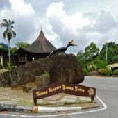 Gunung Gading National Park 1, Best Places to visit in Malaysia