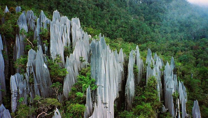 Gunung Mulu NP, Best Places to visit in Malaysia