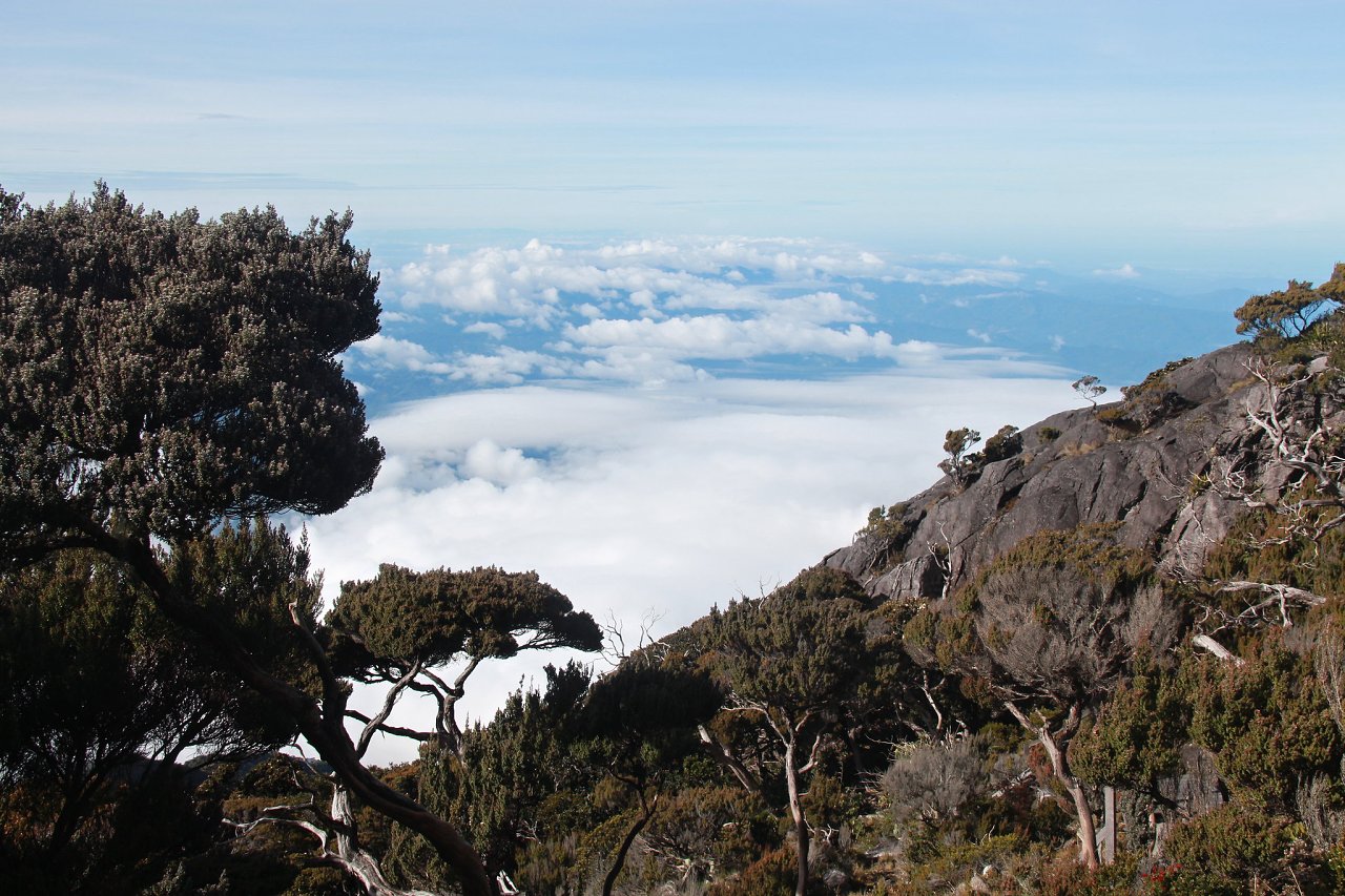 Kinabalu National Park 3, Best Places to visit in Malaysia