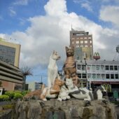 Kuching 3, Best Places to visit in Malaysia