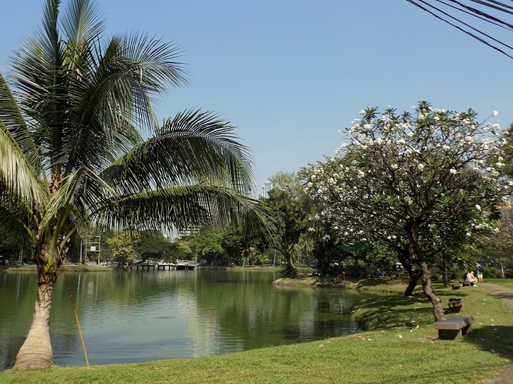 Lumpini Park, Things to do in Bangkok - Tourist Attractions, Thailand