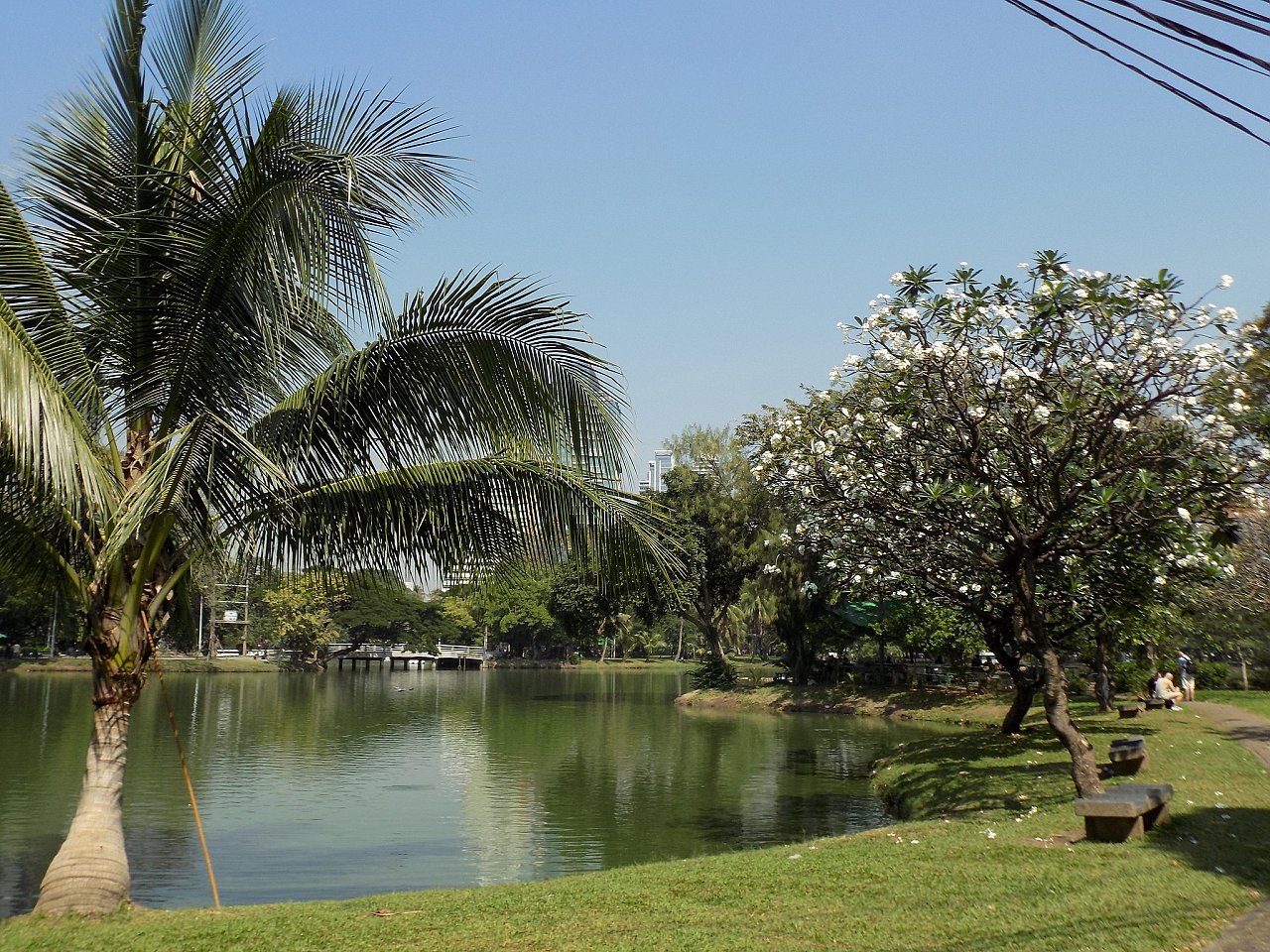 Lumpini Park, Things to do in Bangkok – Tourist Attractions, Thailand