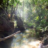 Malaysian Borneo 4, Best Places to visit in Malaysia