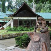 Sepilok Rehabilitation Centre 2, Best Places to visit in Malaysia