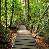 Taman Negara 2, Best Places to visit in Malaysia
