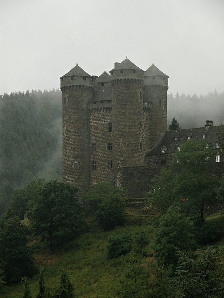 Anjony, Castles in France