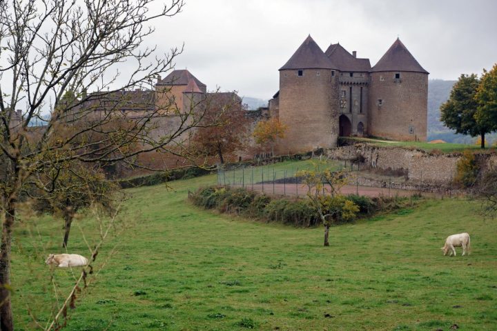 Berze-le-Chatel, Castles in France 