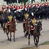 Horse Guards Parade, London, UK 3