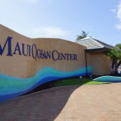 Maui Ocean Center, Hawaii, Visit in USA