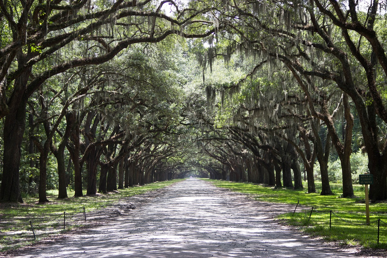 Savannah, Georgia, Best places to visit in USA