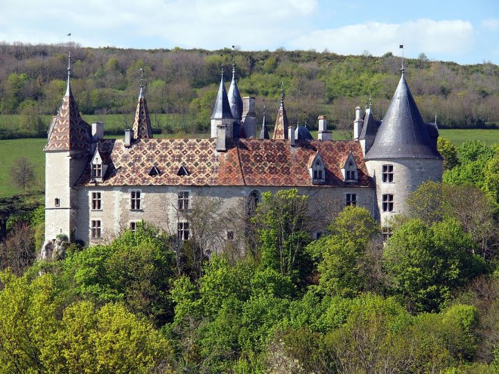 Burgundy Vineyards, Rochepot, Castles in France 