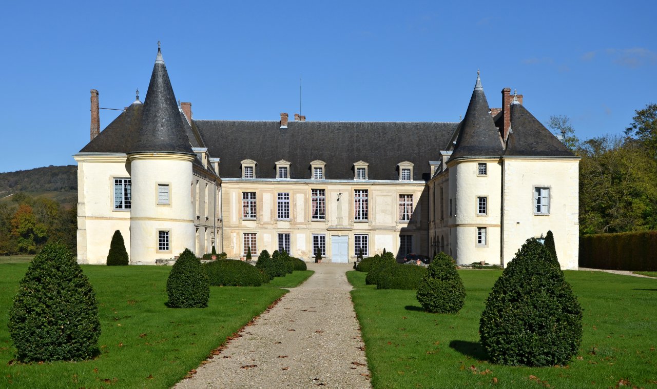 Conde-en-Brie, Castles in France