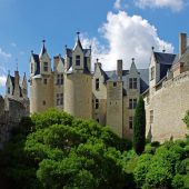 Montreuil-Bellay, Castles in France
