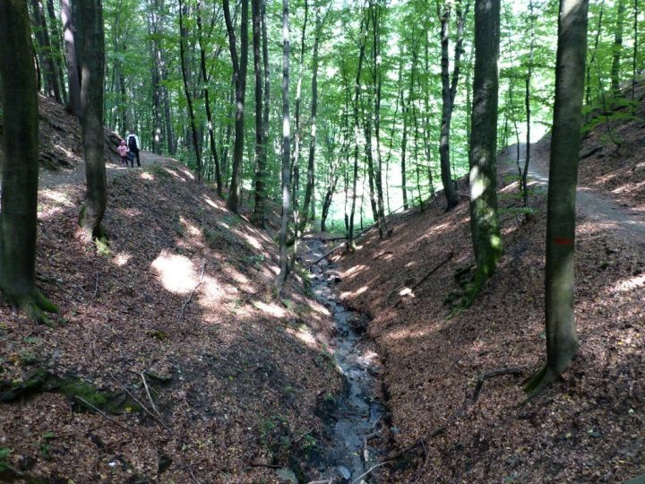 Cermel Forest and Alpinka Recreation Area, Things to do in Kosice, Slovakia