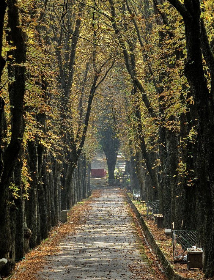 Kosice Public Cemetery, Things to do in Kosice, Slovakia