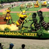 Flower Carnival, Best Places to Visit in Debrecen