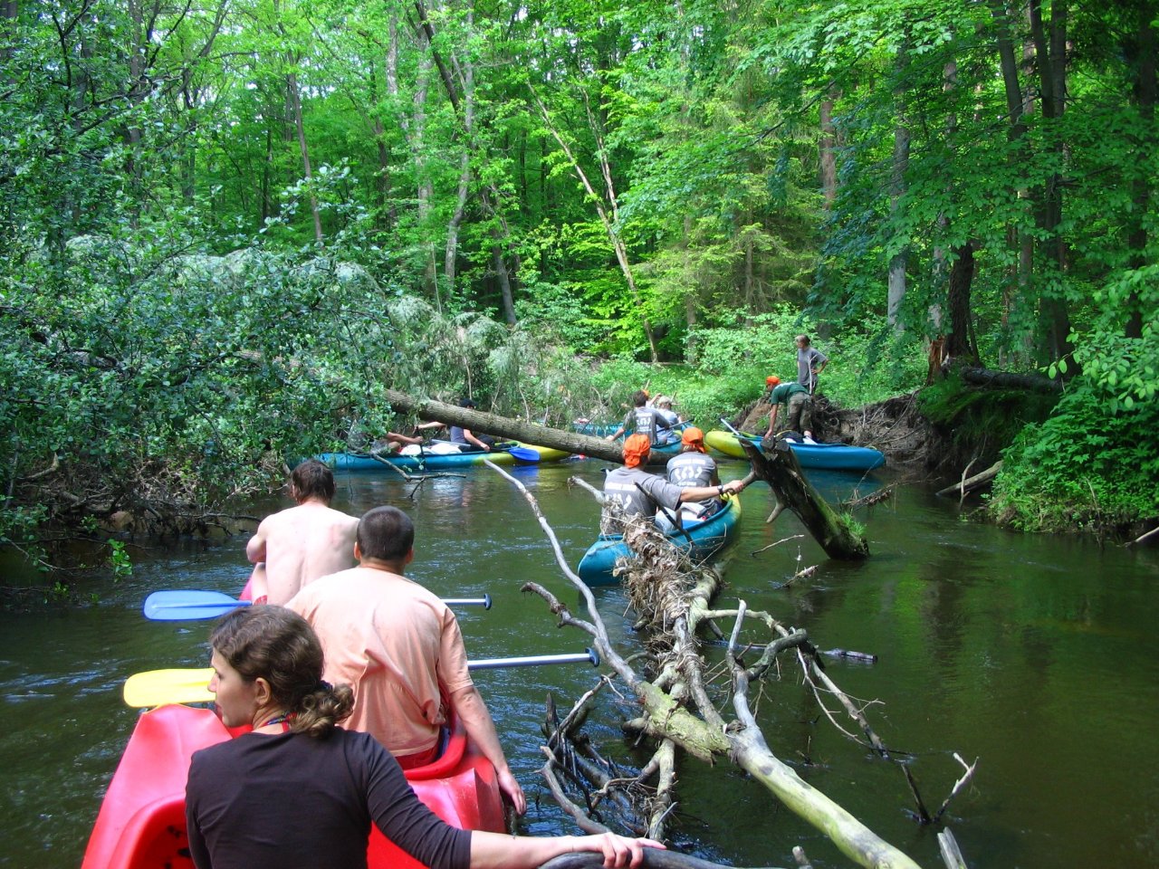 Canoeing on Lužnice river, The Czech Republic