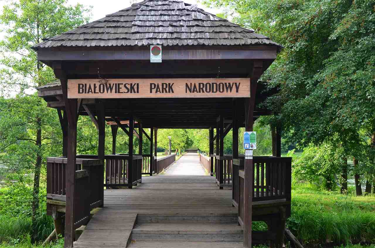 Bialowieza National Park Tours, Poland
