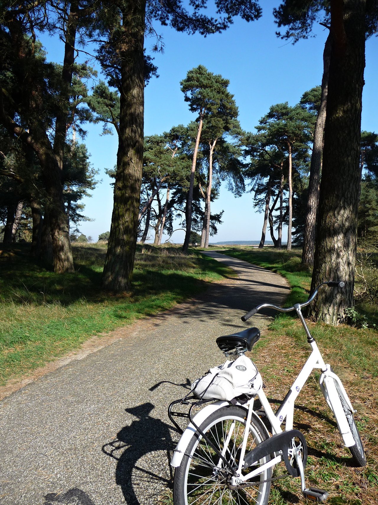 Biking, Hoge Veluwe National Park, Netherlands