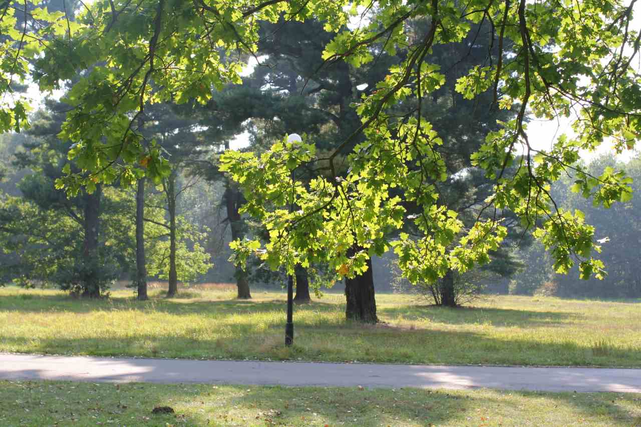 Katowice Forest Park, Poland