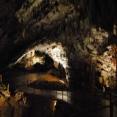 Postojna Cave, Slovenia 2
