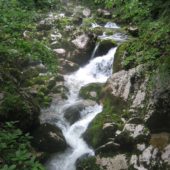 Savica Waterfall, Slovenia 3