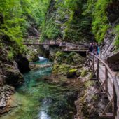Vintgar Gorge, Slovenia 2