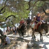 Donkey Rides, Lindos Beach, Greece Beaches