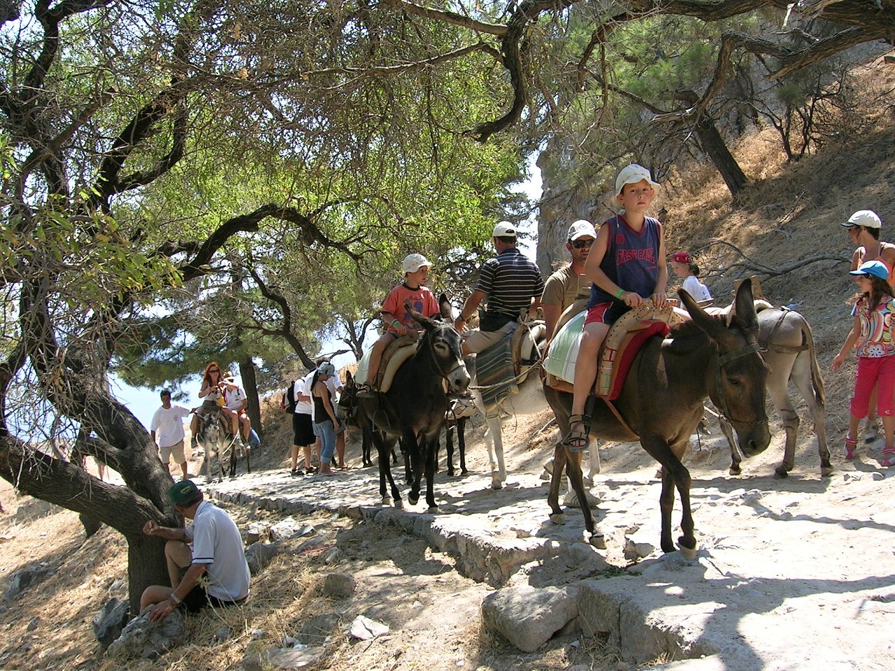 Donkey Rides, Lindos Beach, Greece Beaches