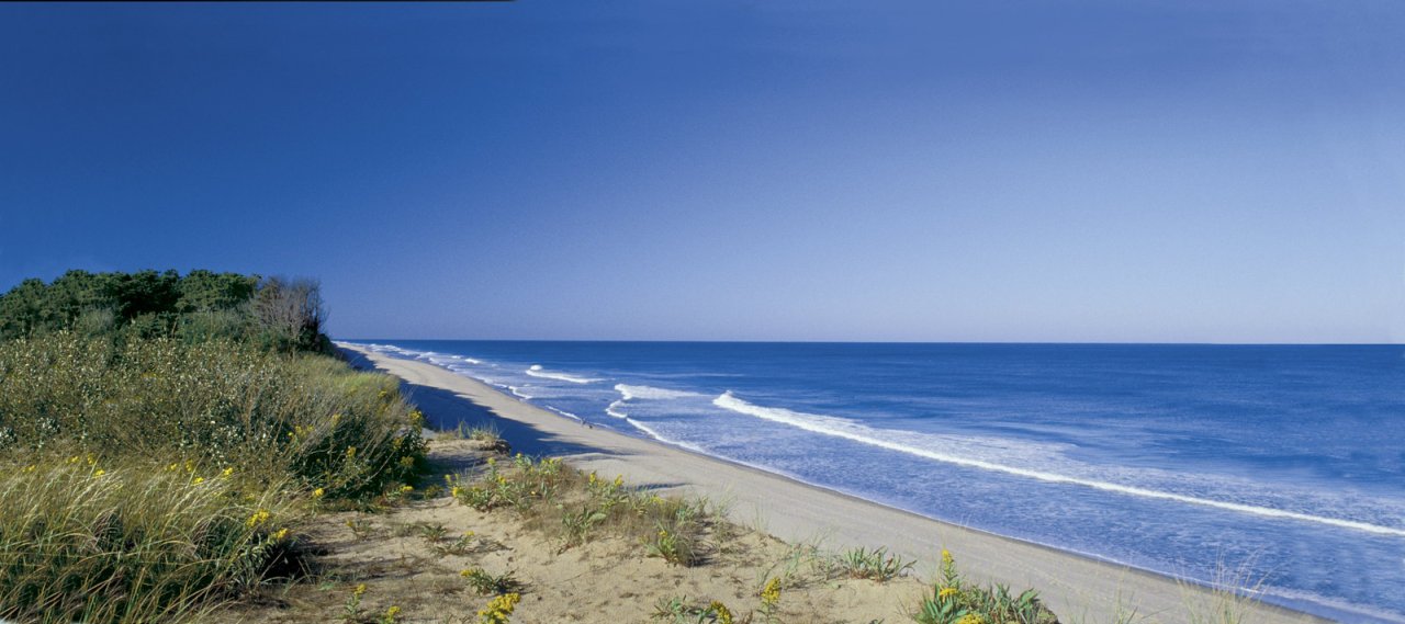 Coast Guard Beach, Massachusetts, Best Beaches in the USA