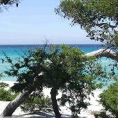 Plage de Saleccia, Corse-du-Nord, Best Beaches in France