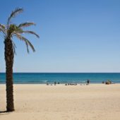 Argeles-sur-Mer, Purenees-Orientales, Beaches in France 3