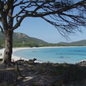 Palombaggia, Corse-du-Sud, Best Beaches in France 2