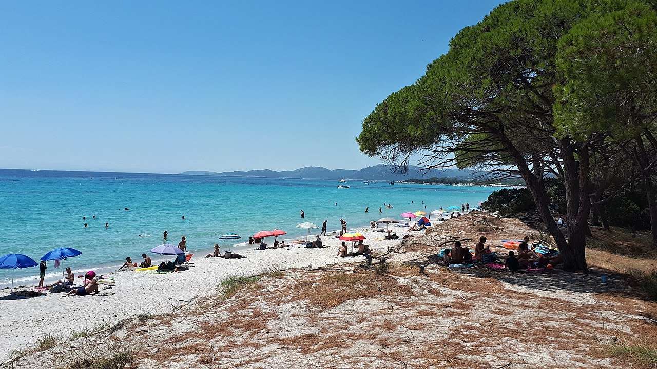 Palombaggia, Corse-du-Sud, Best Beaches in France 4