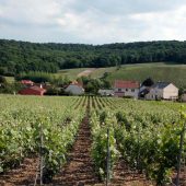 Champagne Hillsides, Houses and Cellars, Unesco France