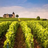 Champagne Hillsides, Houses and Cellars, Unesco France 2
