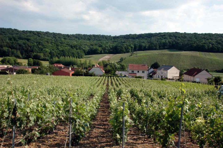 Champagne Hillsides, Houses and Cellars, Unesco France