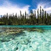 Lagoons of New Caledonia, Reef Diversity and Associated Ecosystems, Unesco France 3